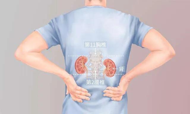 太极如何松腰视频,练太极怎样做到松腰松胯