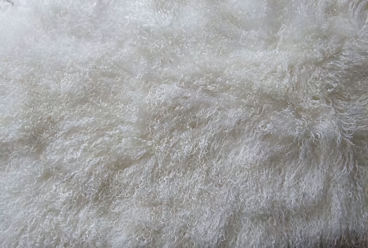 宁夏被称为红黄蓝白黑五宝,宁夏五宝中的发菜