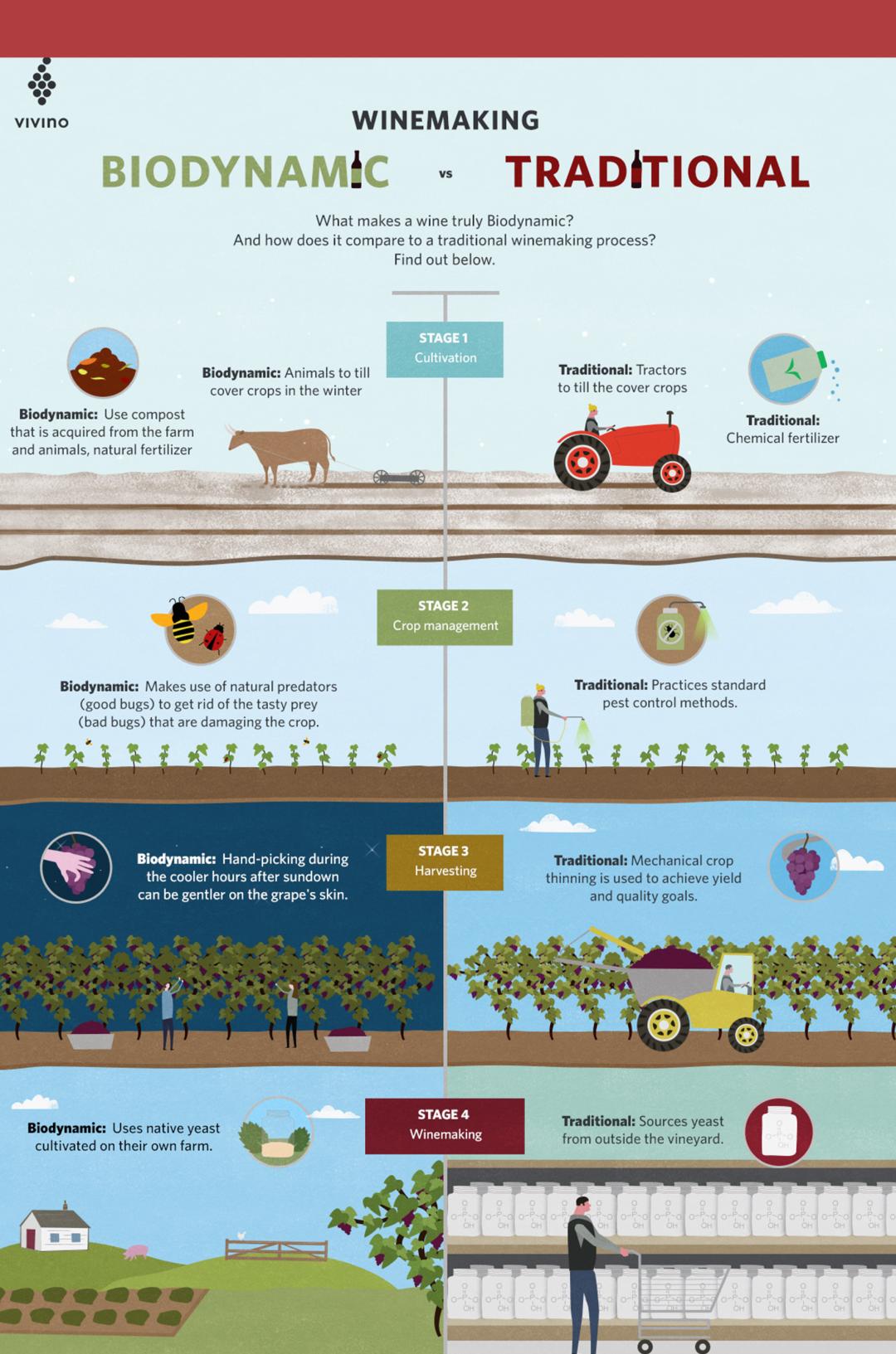 为什么喜事都要看黄历,喝白茶看黄历