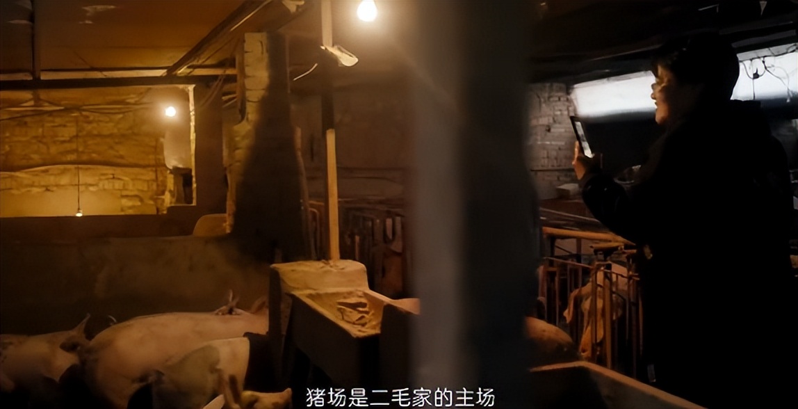 53岁阿姨拍了个网红村,12分钟彻底出圈,怎么就火了?