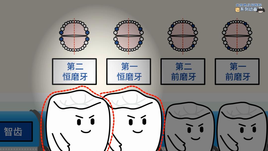 健康科普龋齿窝沟封闭,预防蛀牙科普视频