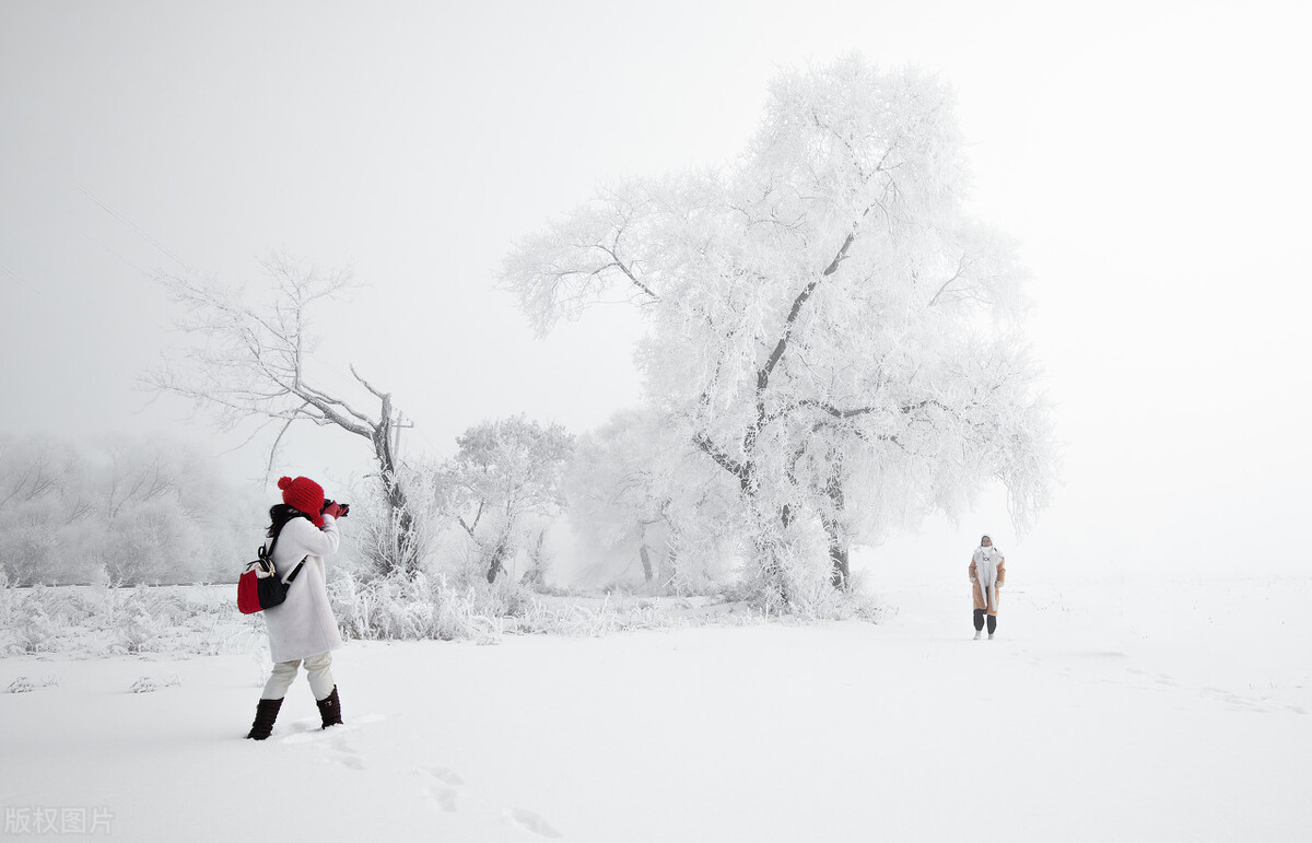 想你了想念一个人高情商表达,思念一个人的句子我想你了