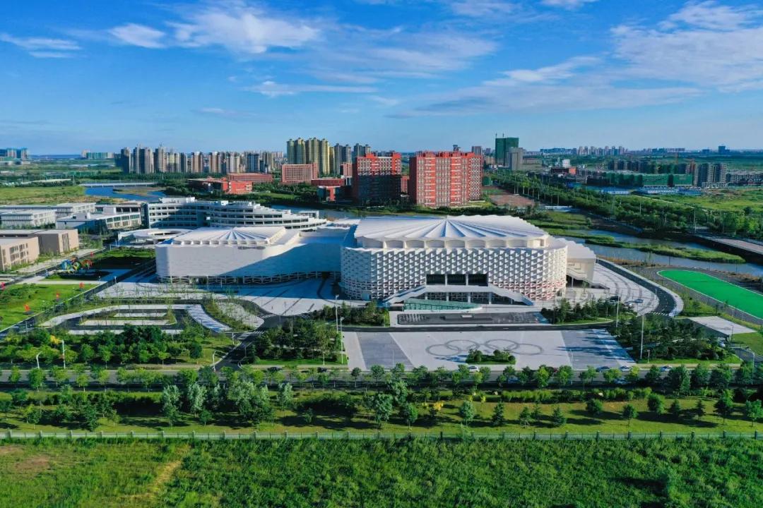 乒乓球上创意彩绘,乒乓创意绘画大全