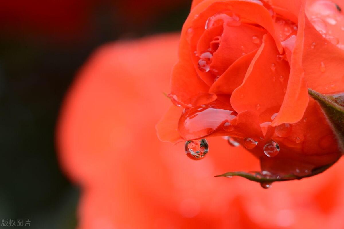 男人删除女人微信还能挽回吗,男朋友把我删除了还能挽回吗