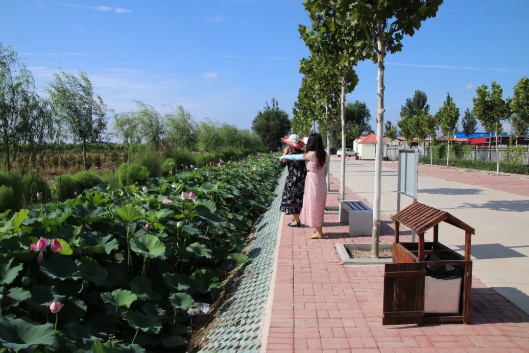 休闲农业与乡村旅游项目分析,休闲农业与乡村旅游什么时候开始