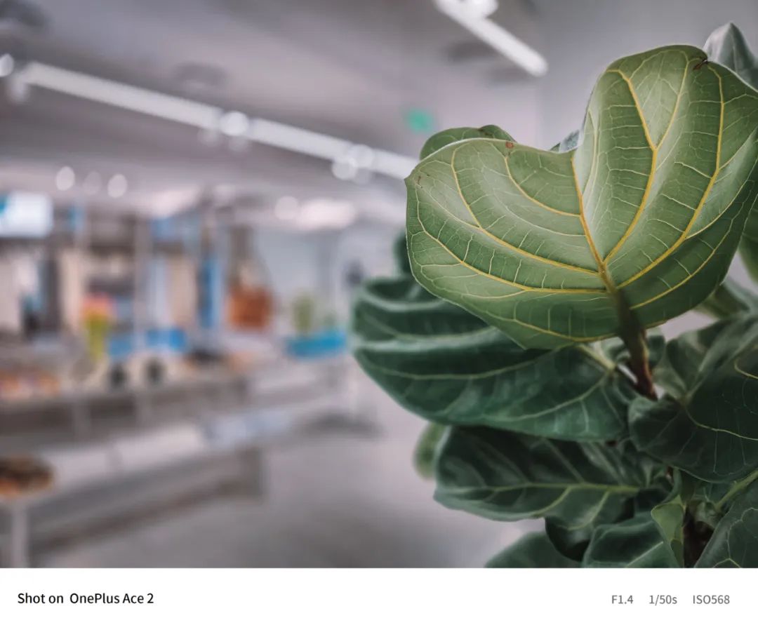 三千内比一加ace2拍照更好的手机,一加ace2手机评测拍照