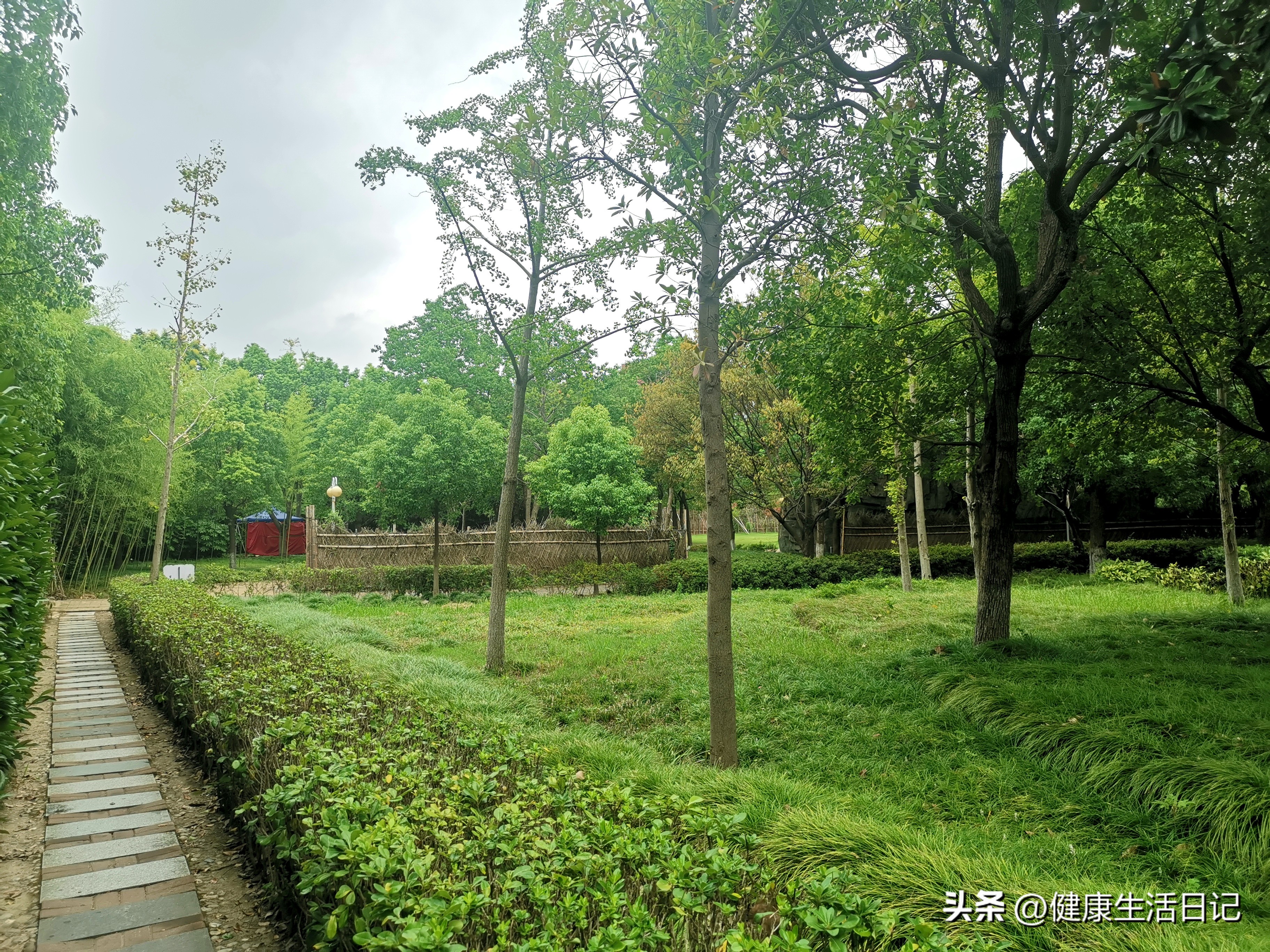 上海三林的公园,上海浦东三林公园在哪里