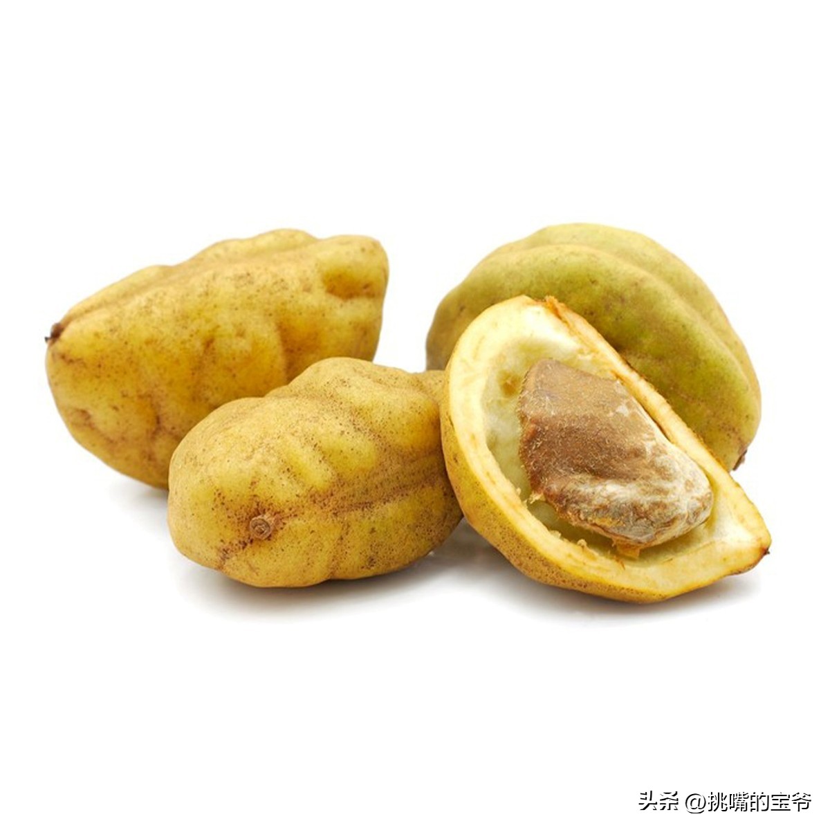 马来西亚特别推荐的水果,华人在马来西亚所占的比例