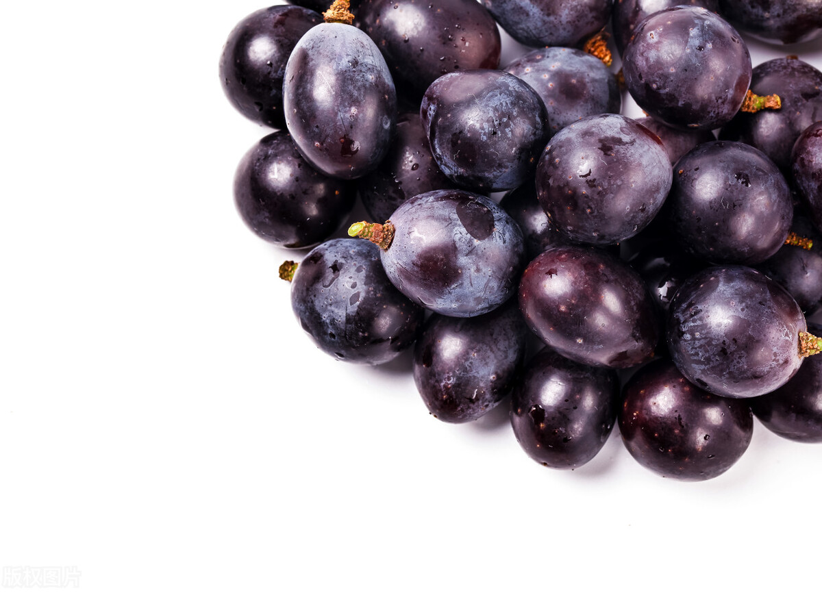 建议中老年人伏天吃5种碱性食材,三伏天一定要吃的4种水果