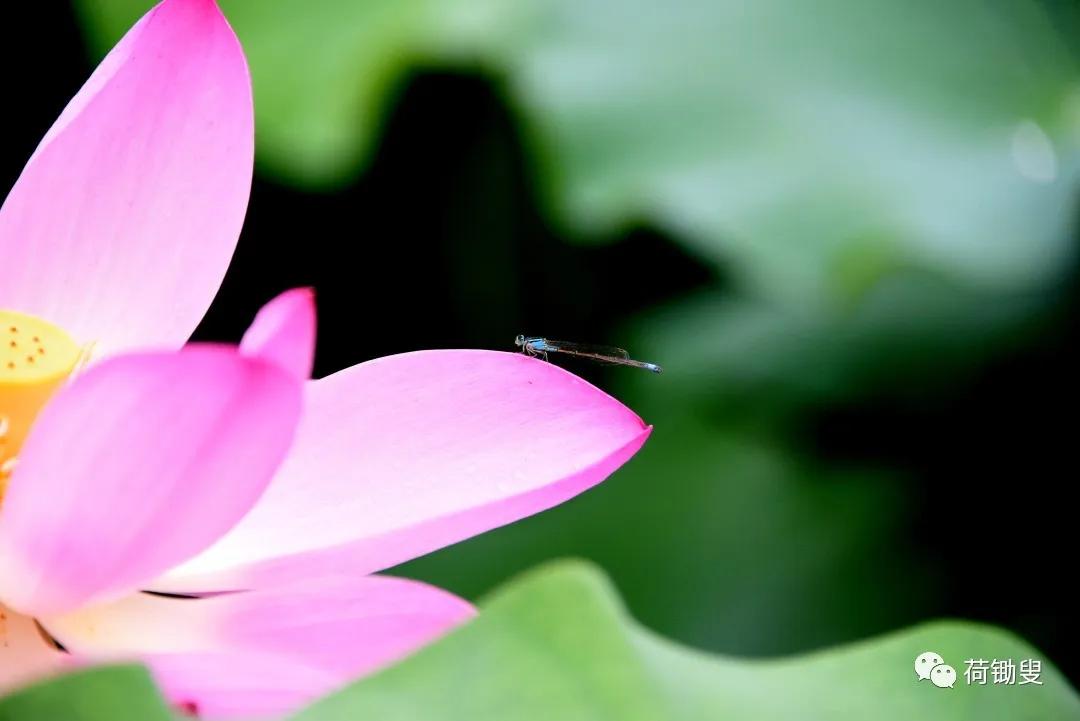 一泓清水入黄河工程,一泓清水入黄河项目清单