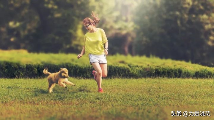新手养宠物要注意些什么,饲养宠物的好处和坏处