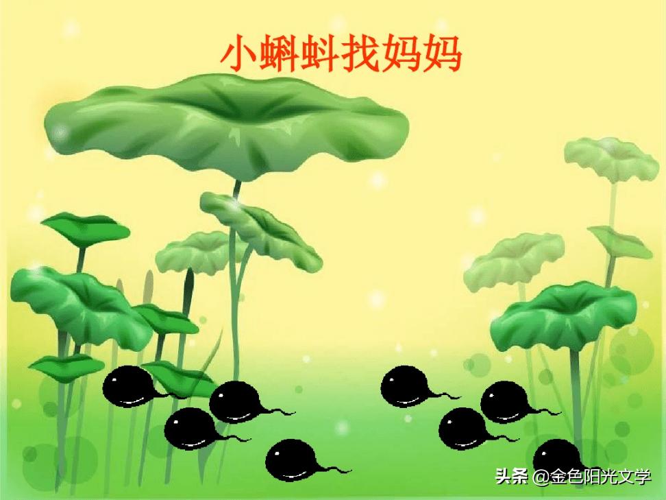 可爱的小蝌蚪找妈妈,可爱的蝌蚪图片