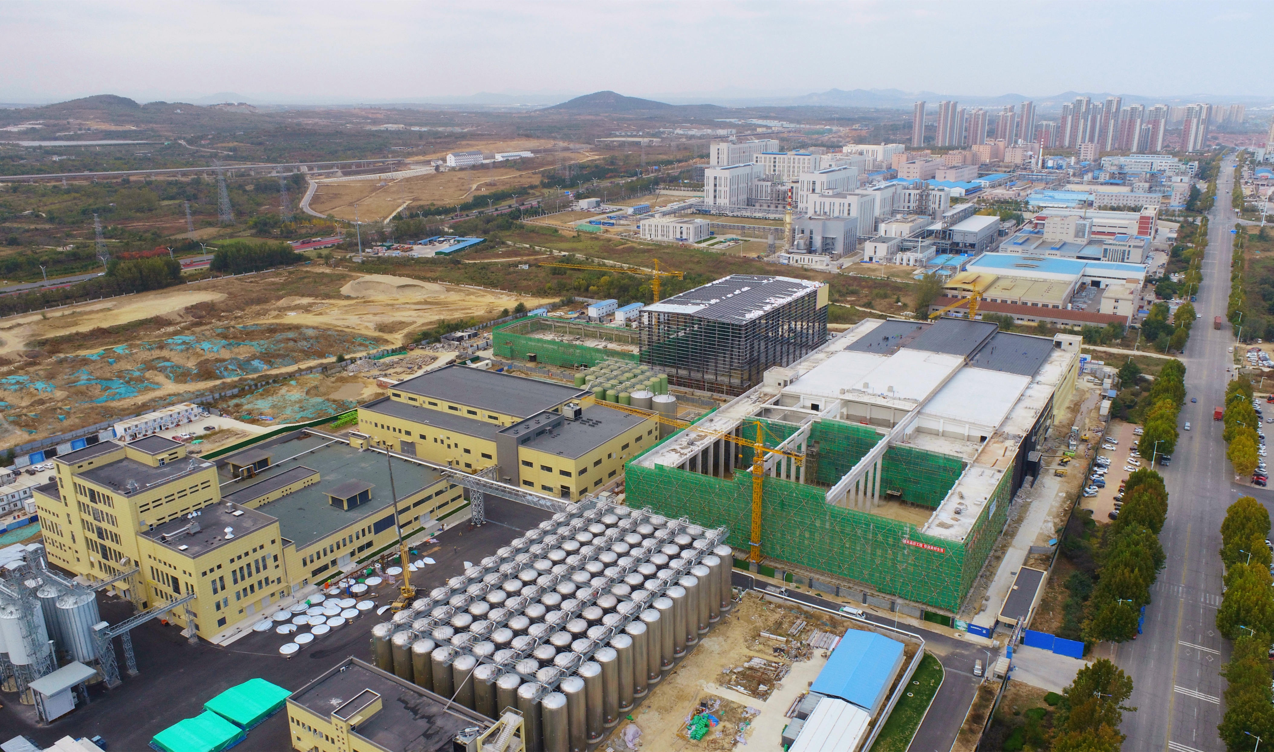 烟台黄渤海新区改造项目,烟台黄渤海新区招商引资