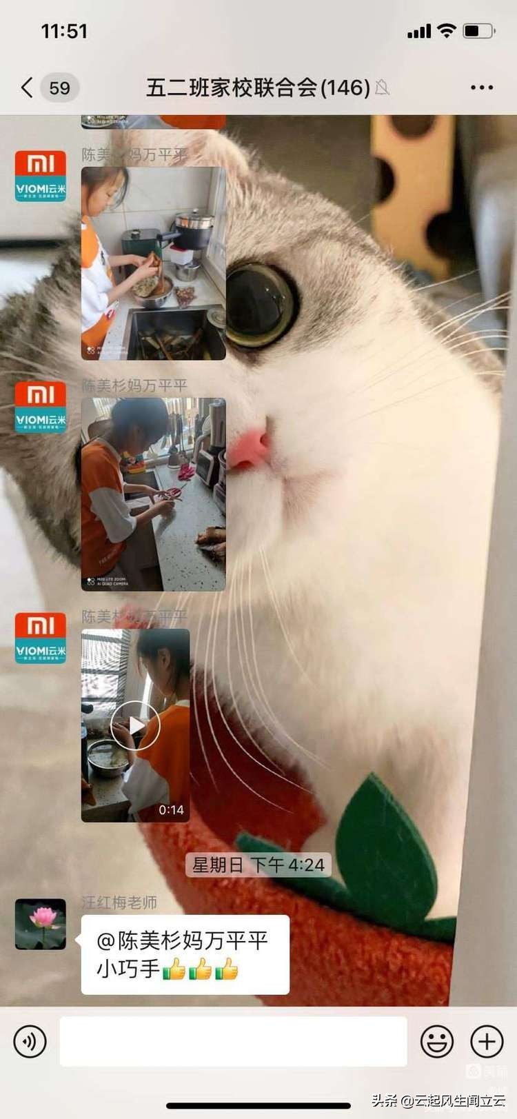 端午粽班级活动,粽情端午欢聚一堂文艺活动