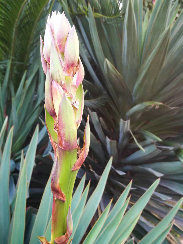 株洲市阳光新城,株洲魅力新城全景