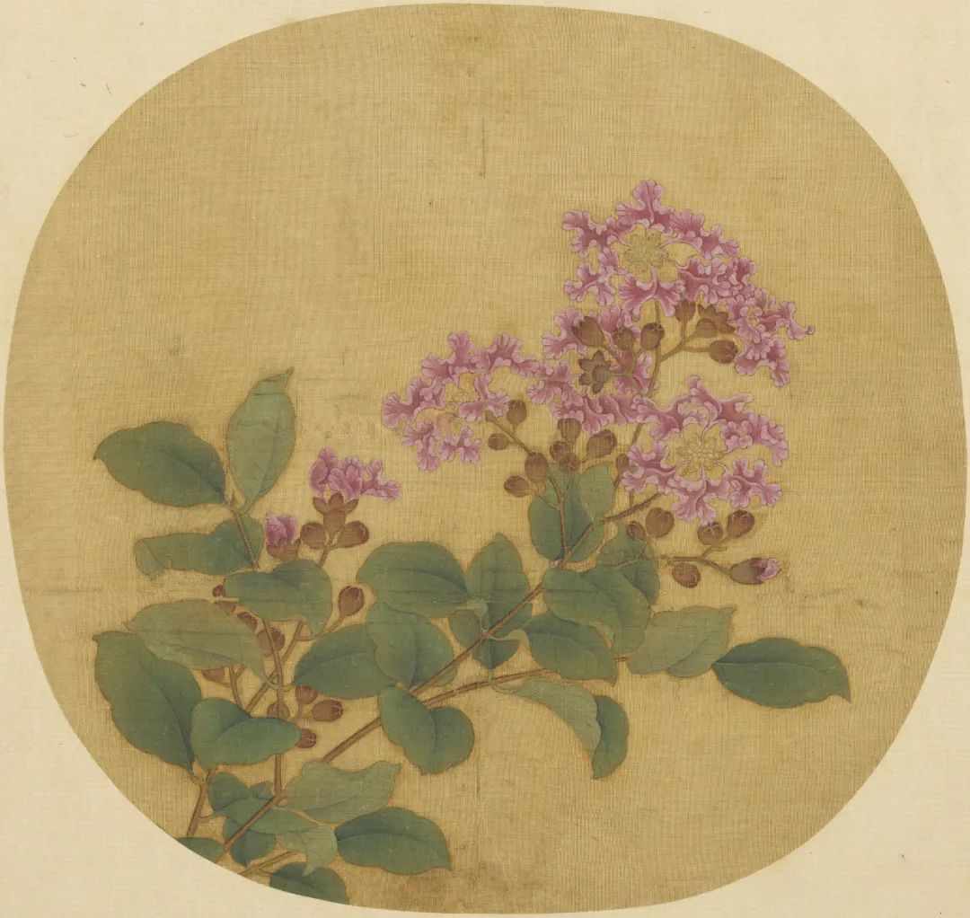 慕容看世界的视频,慕容看世界所有视频