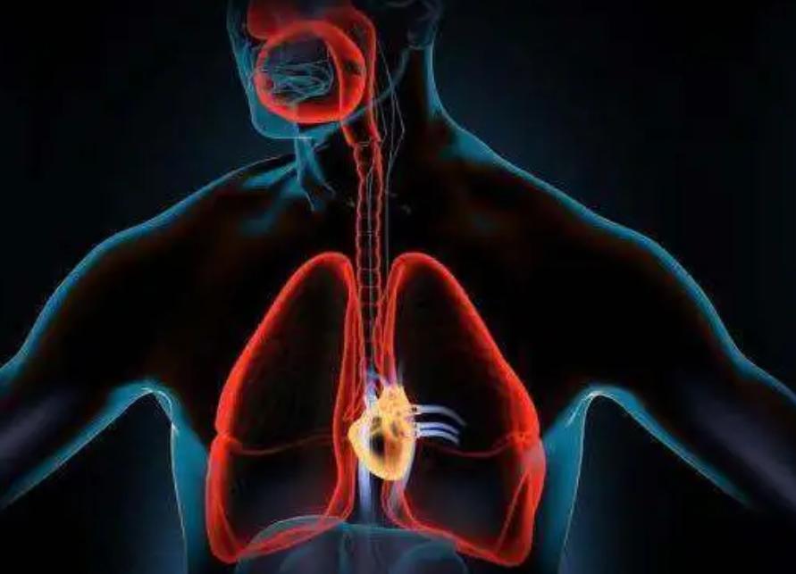 支气管哮喘痰液粘稠的预防,嗜酸性气道炎变异性哮喘怎么治疗