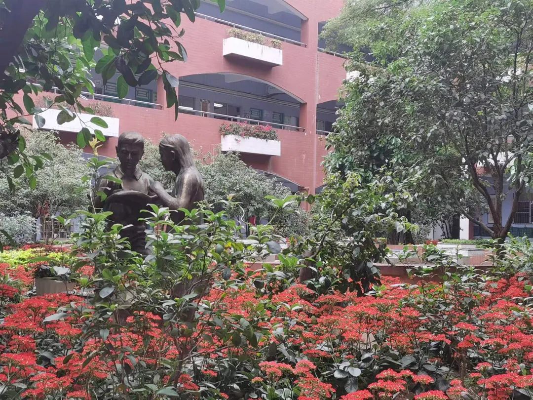 东莞石碣四海学校2018年,东莞石排四海学校招生