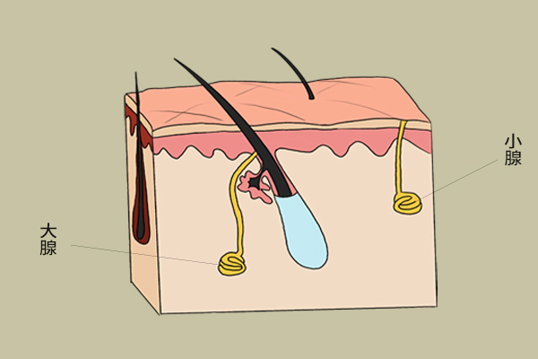 出汗身上黏糊糊是怎么回事,身体老是出汗黏糊糊的怎么回事