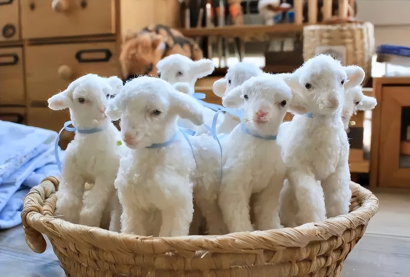 搞笑沙雕奇葩笑话幽默段子爆笑,沙雕爆笑搞笑幽默笑话笑到肚子疼