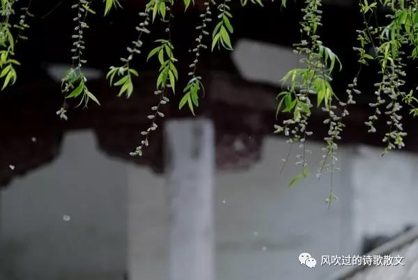 最怕的病是穷病,穷病是一种什么病