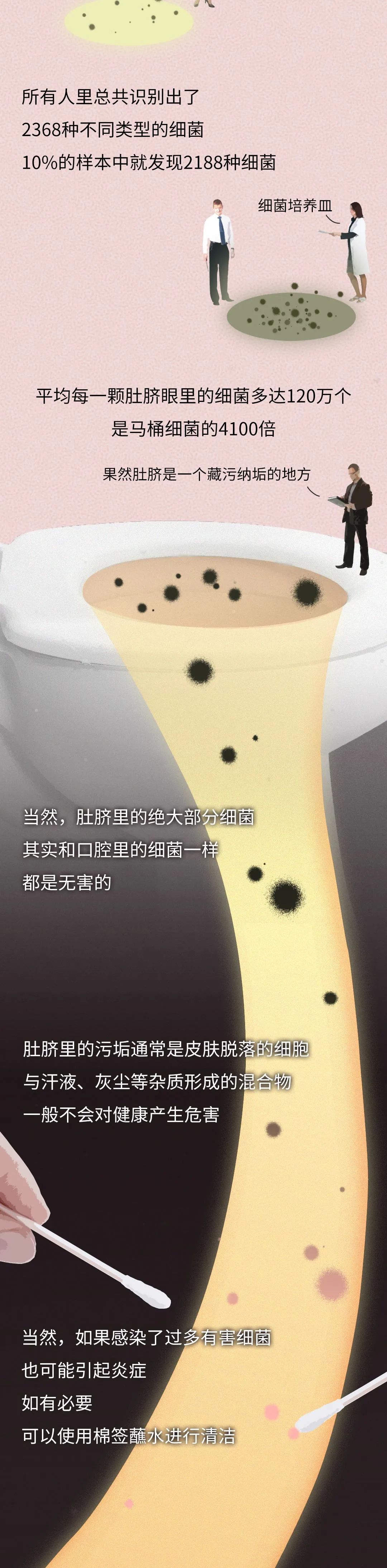 为什么女生露肚脐，会显得性感？（漫画）