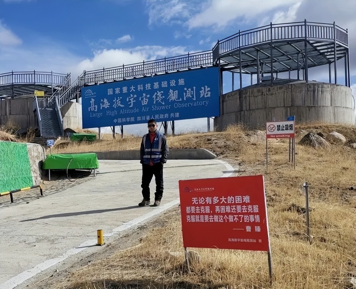 高山上的采药人,高山上的鸟类