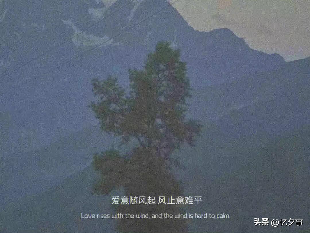 走心文案高质量治愈情感,冬天玩雪文案高级感温柔治愈