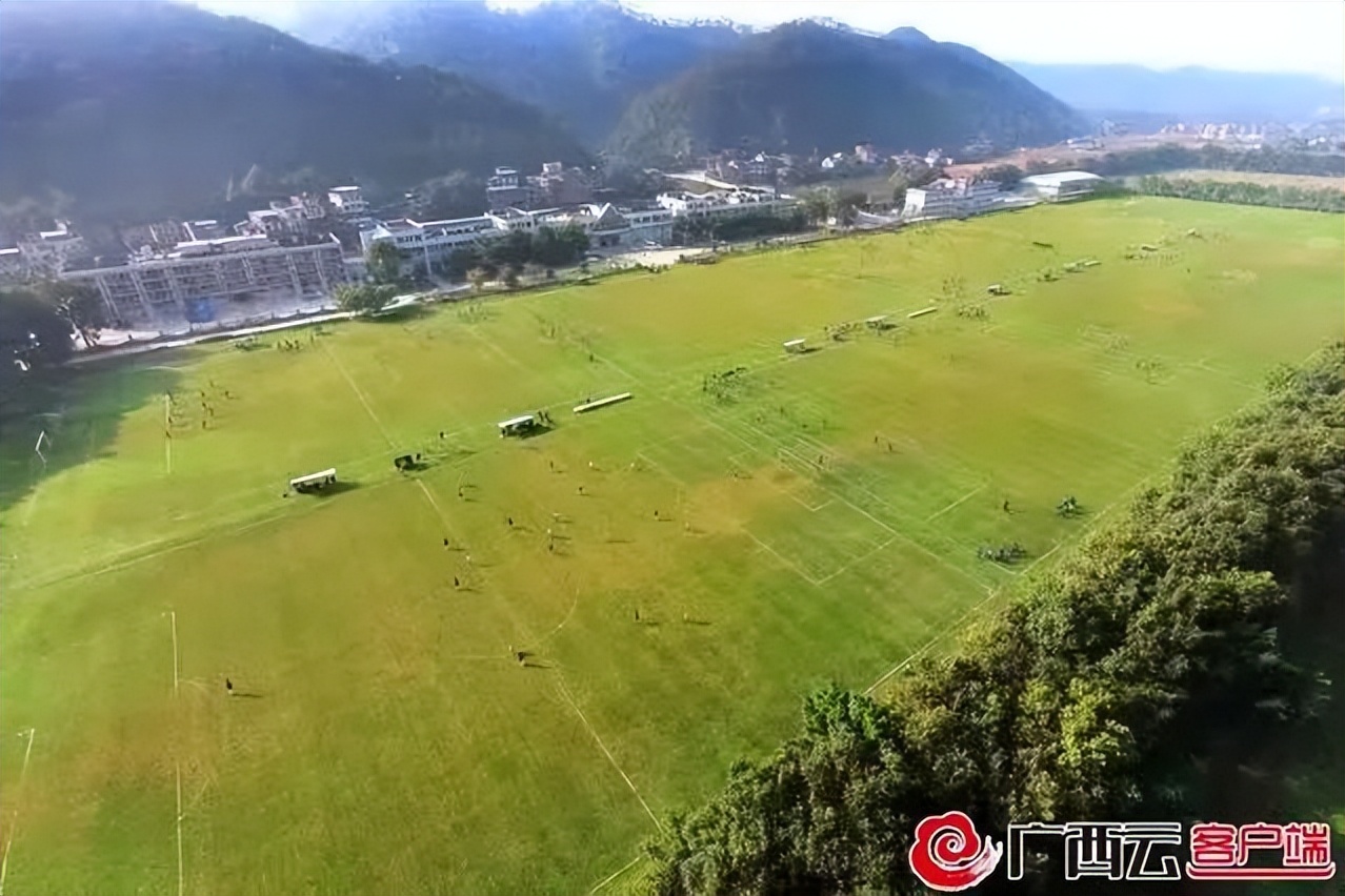 全市体育工作成绩,全市体育工作进展