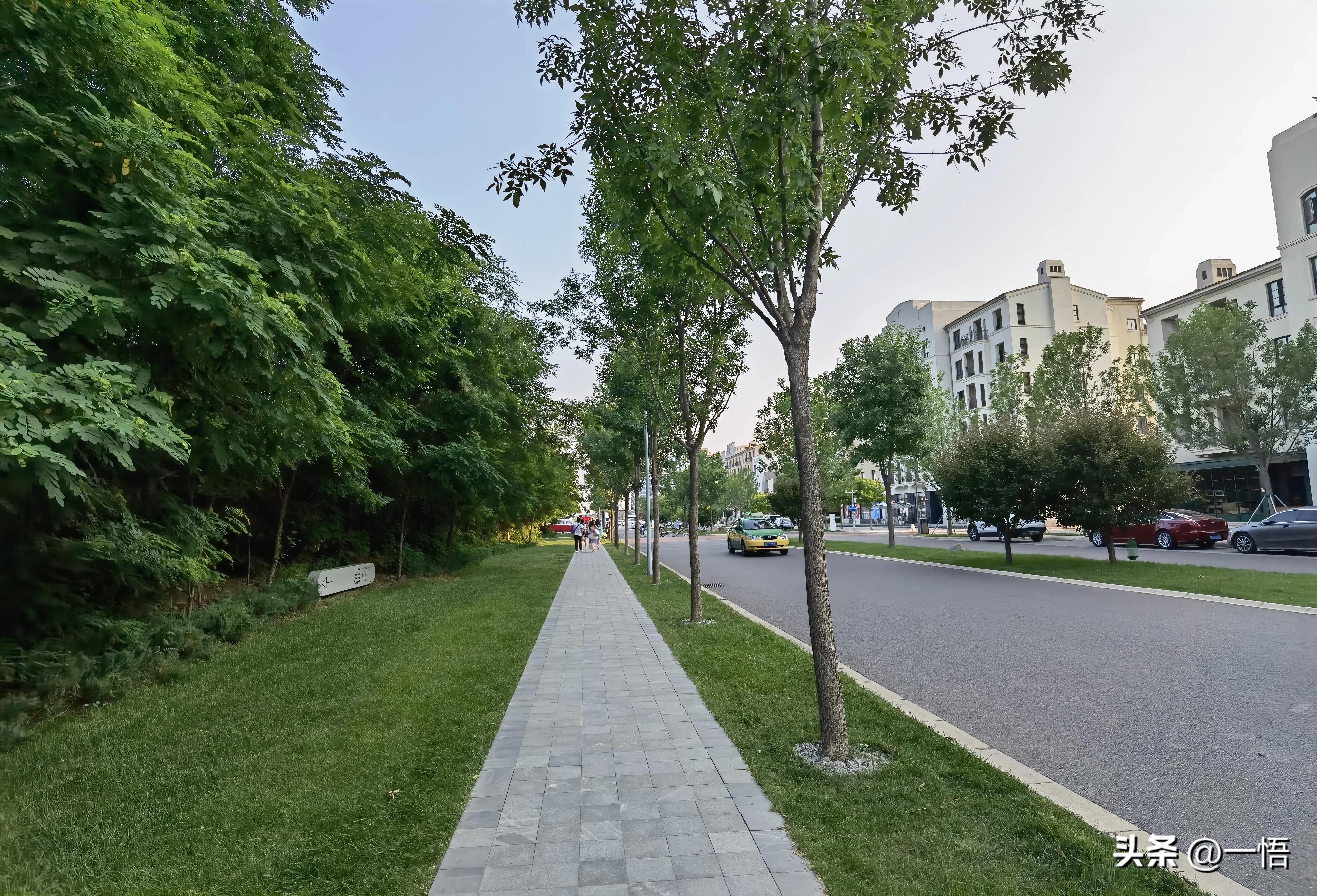 2023上海到秦皇岛承德十日游第四天：看阿那亚的海，逢犬舍的安娜