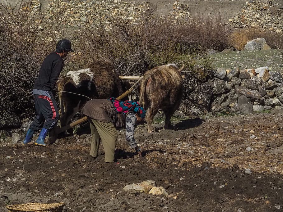 2023年是兔年也是双春年,2023年双春年为什么有些人倒霉