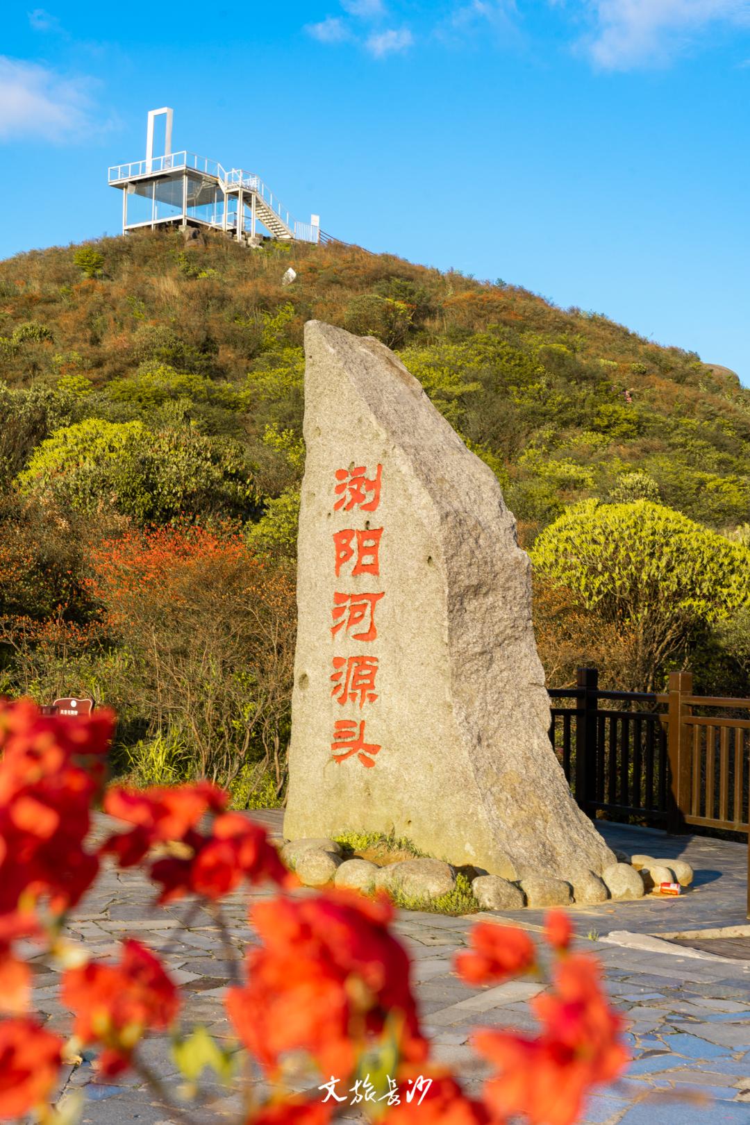 娴忛槼鐑熻姳鏃呰,鏄熷煄鏃呮父鏀荤暐