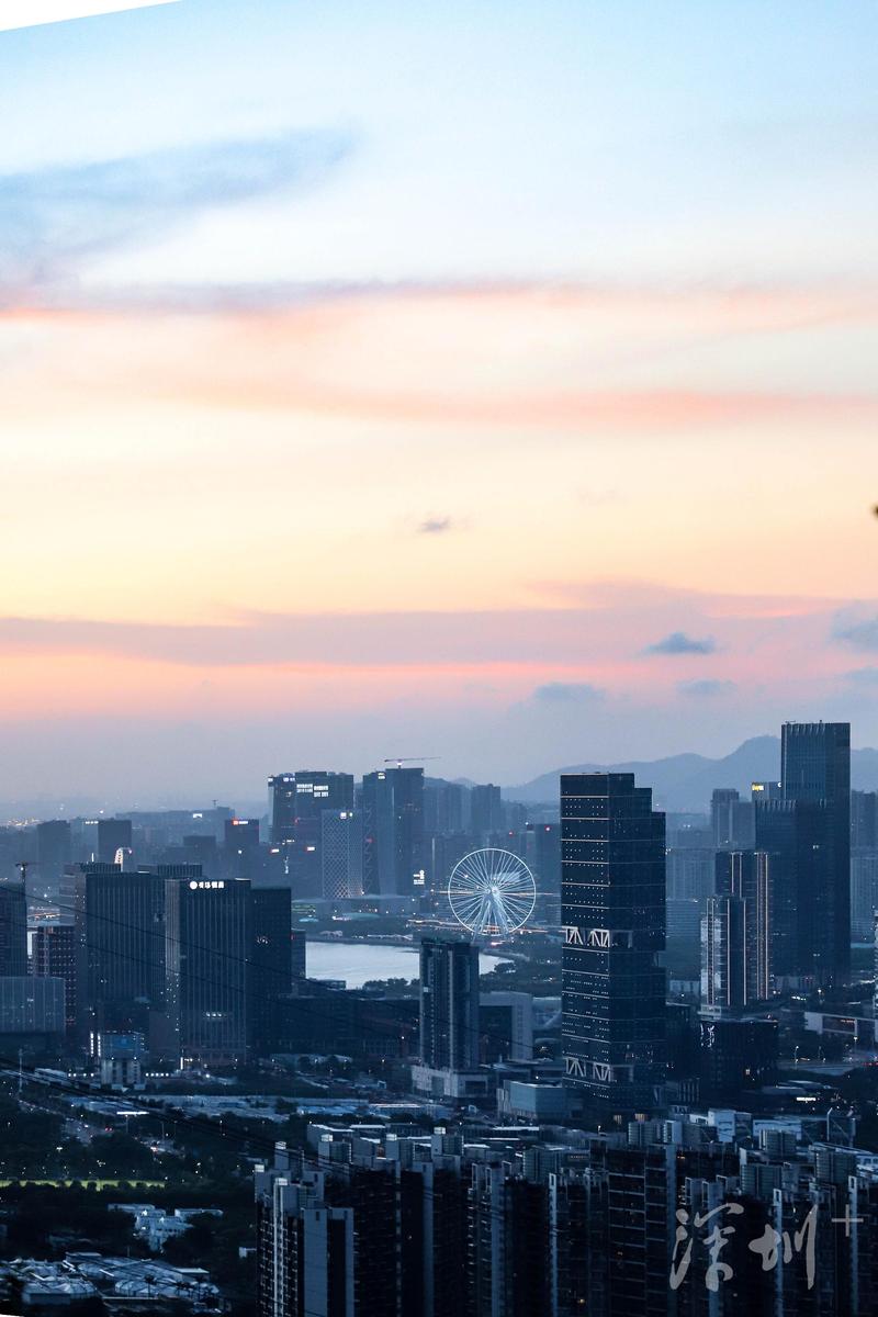 深圳湾公园最佳观景时间,深圳湾公园深圳市南山区最美公园