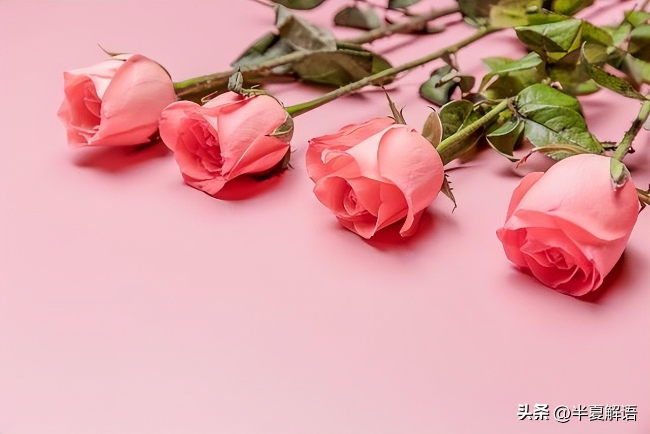 婆婆和小姑子照顾坐月子媳妇下集,婆婆生病3个女儿轮流伺候