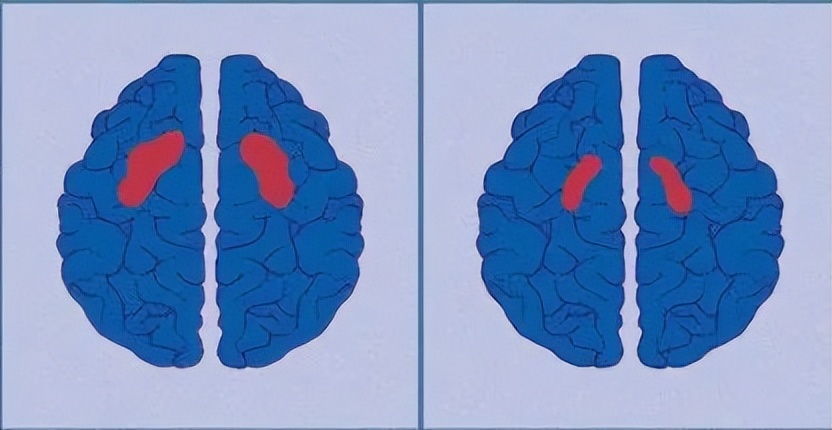 长期听小说睡觉对大脑有伤害吗,电影对大脑的损害