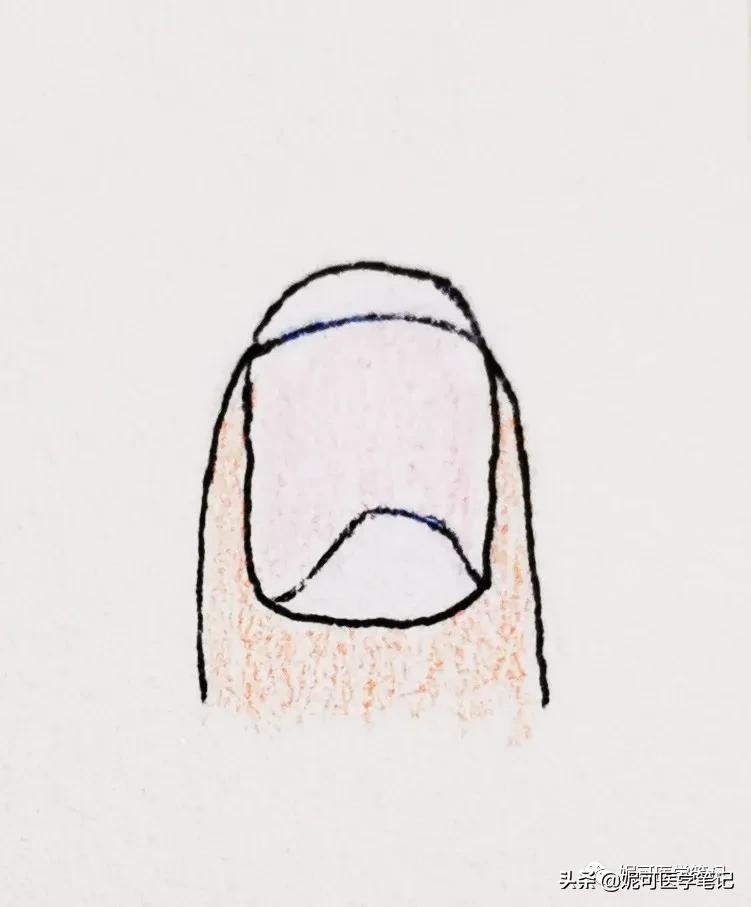 进行手部指甲养护的步骤,手部理疗和指甲护理