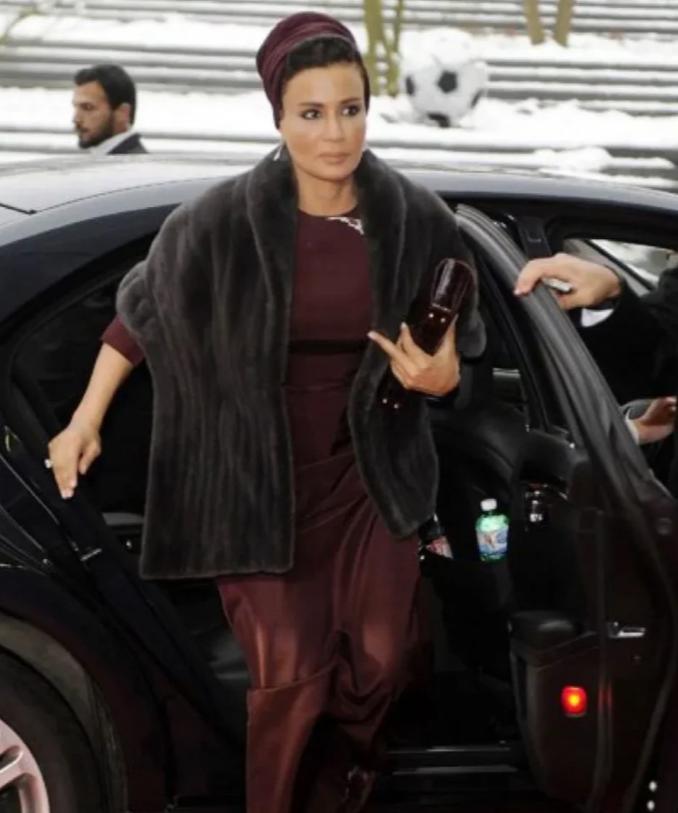 卡塔尔太后穿12年前的裙子，戴卡洛琳公主同款胸针，依然惊艳时光