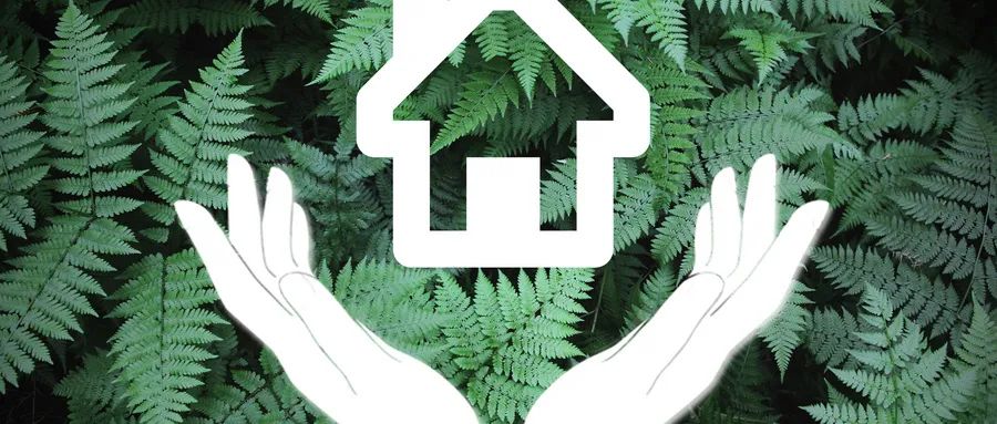 香港储蓄分红险最低要多少钱,香港保险储蓄型险