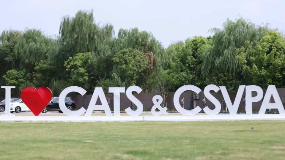 上海国际艺术高中课程,上海艺术类国际学校