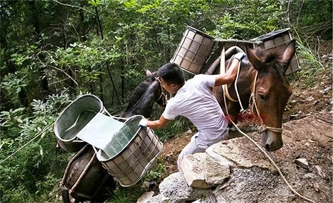 山里马帮的真实生活,农村夫妻货车生活真实记录