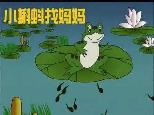 去克罗地亚冷知识大全,移民克罗地亚需要什么冷知识