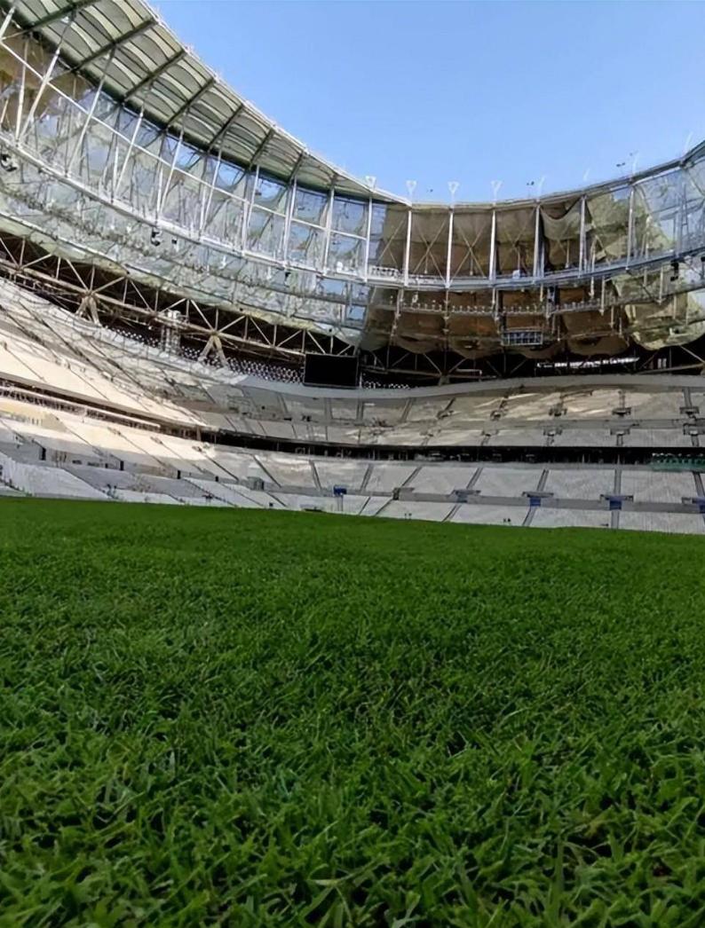 世界杯的草坪什么草,世界杯草地的草每一场比赛都换吗