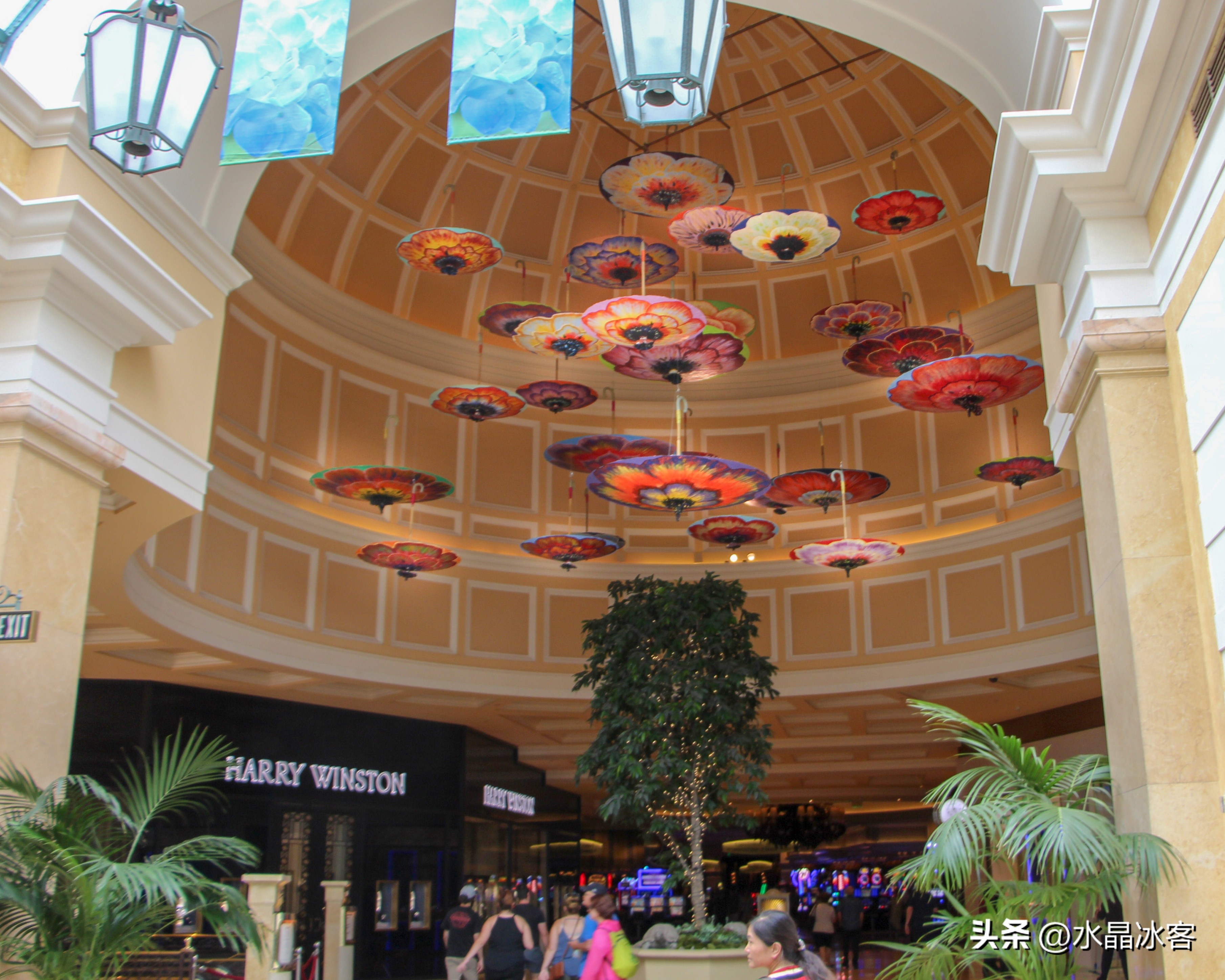 美国西部四日游最佳路线,黄石国家公园拉斯维加斯