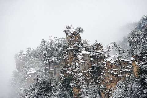 飞雪迎春山花烂漫,飞雪迎春绽玉蕊