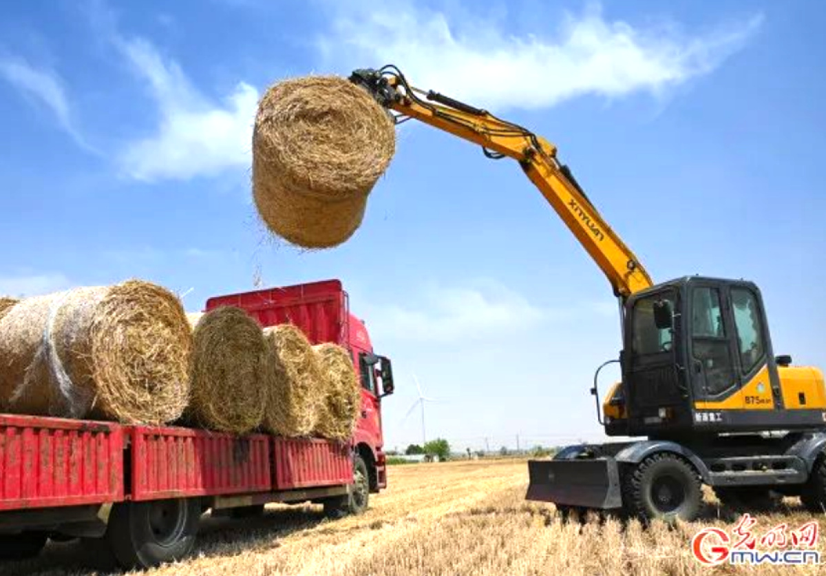 漯河市源汇区乡村振兴局,漯河乡村振兴产业发展示范村