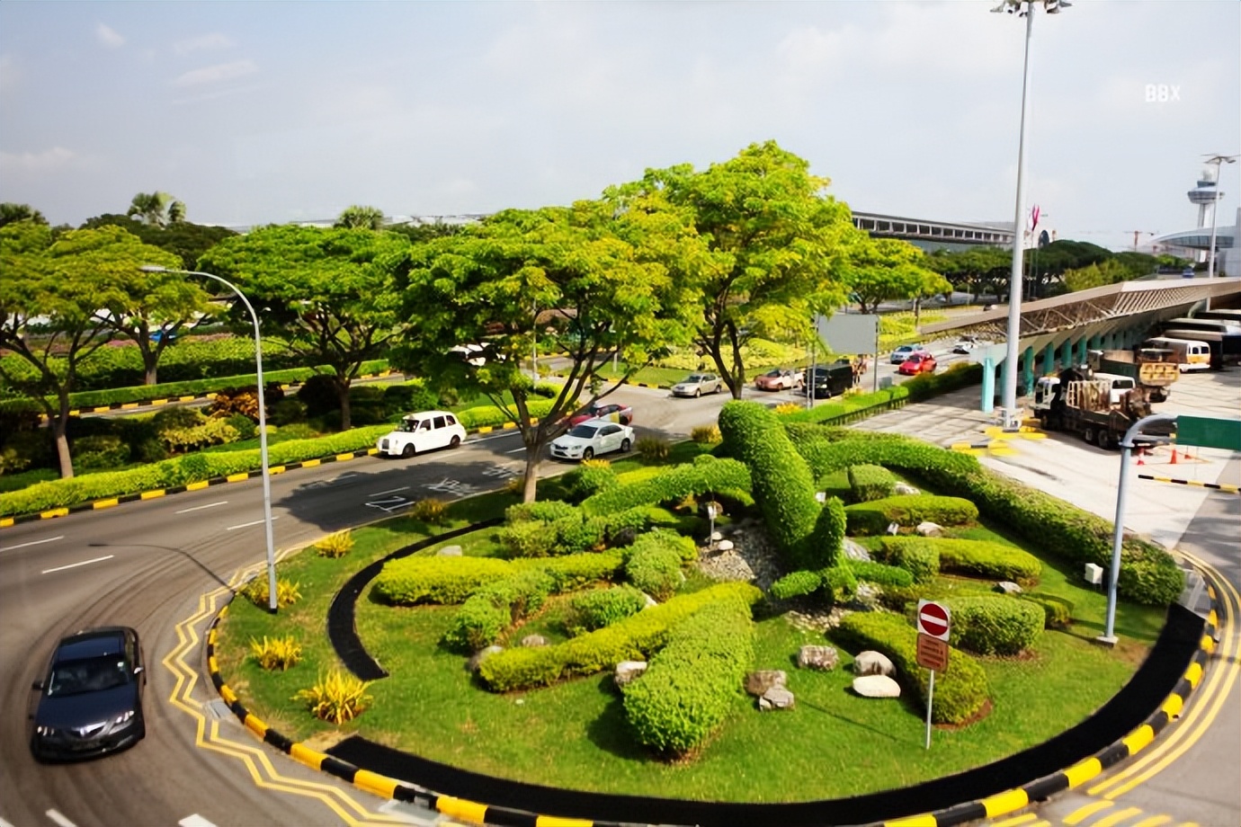 新加坡樟宜机场的仙人掌花园,新加坡最美机场在哪个航站楼