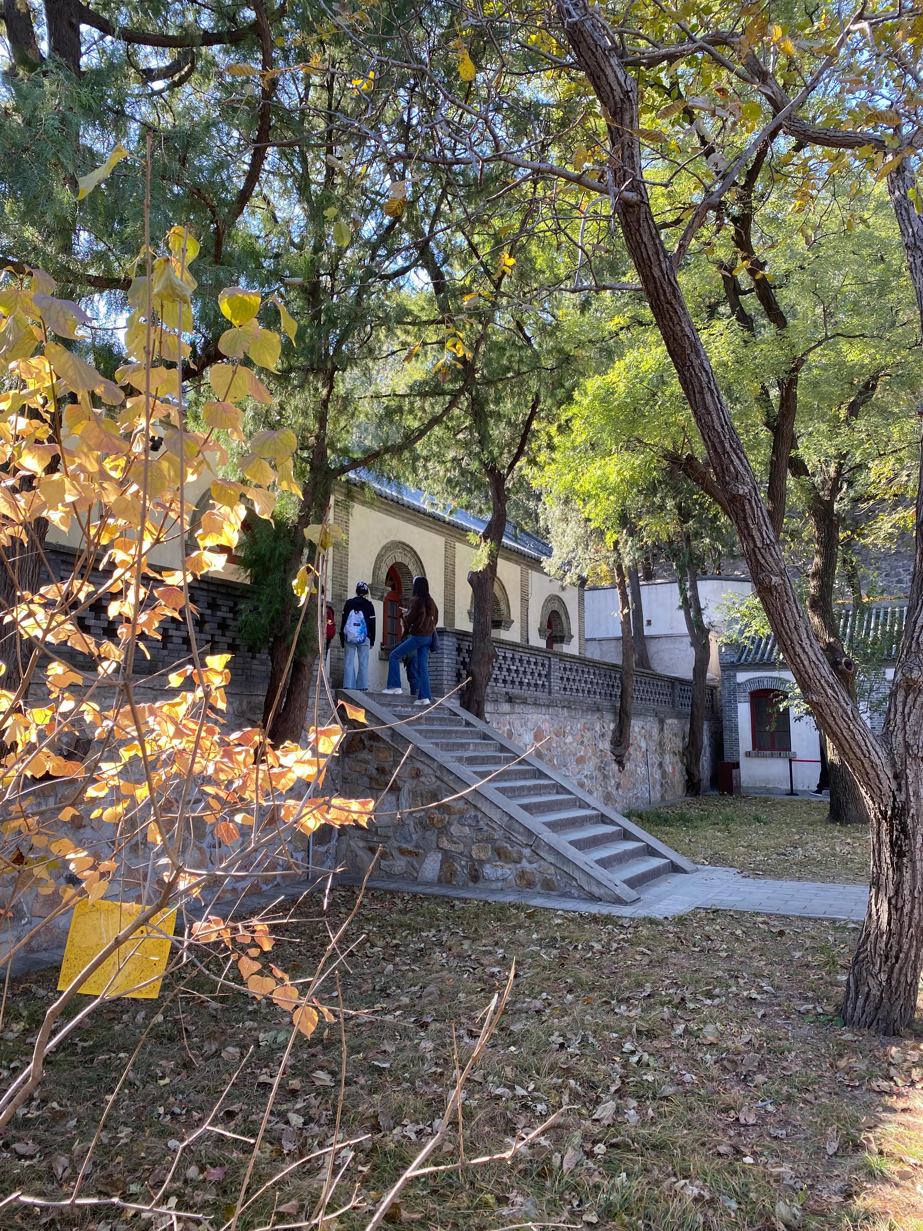 香山风景区打卡攻略,北京香山公园打卡