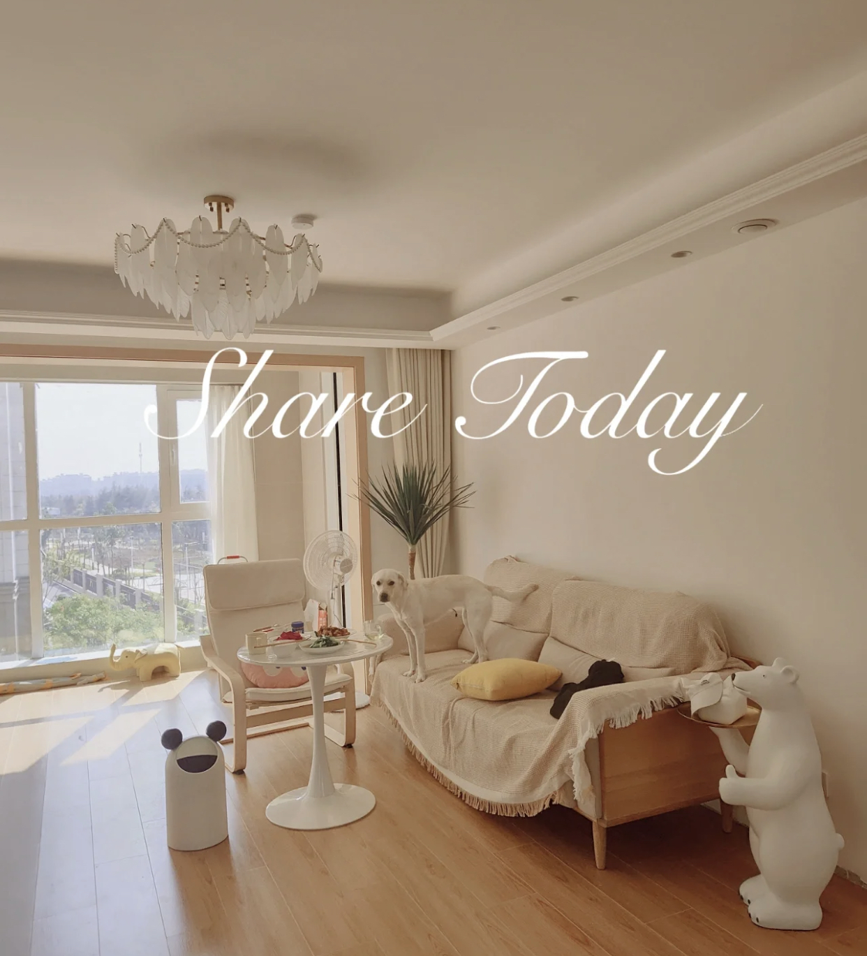 6个“年度最佳”吊顶造型,吊顶造型什么时候做好看