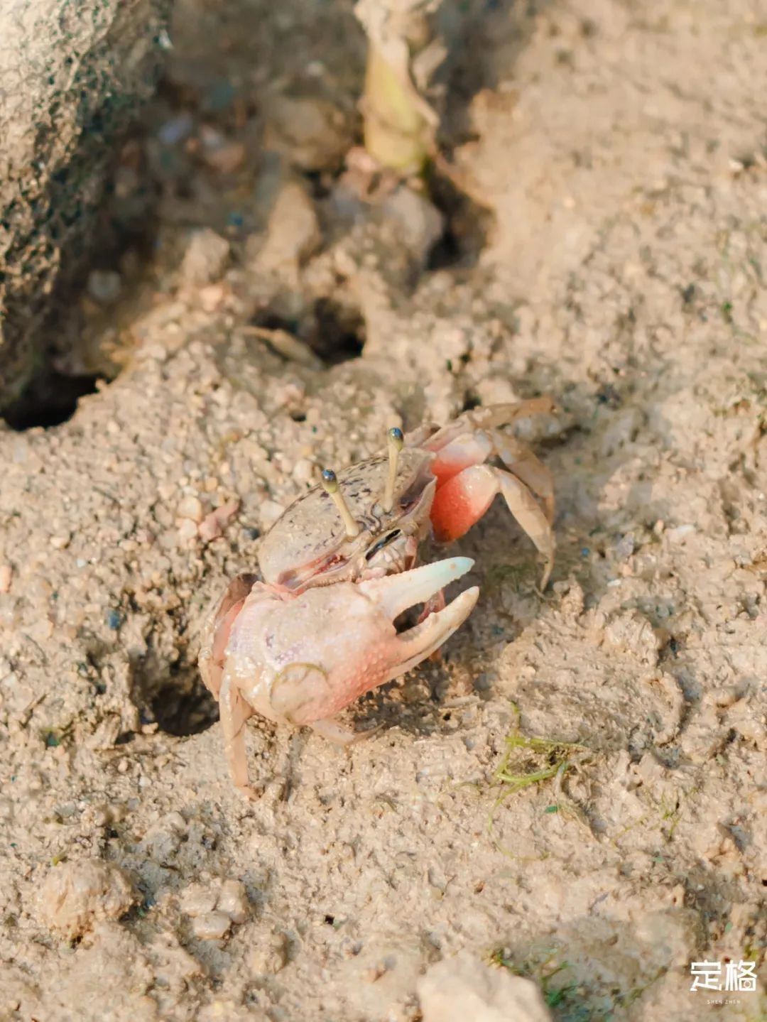 深圳海边哪里好玩20个海滩最美,深圳好玩的海边沙滩推荐免费
