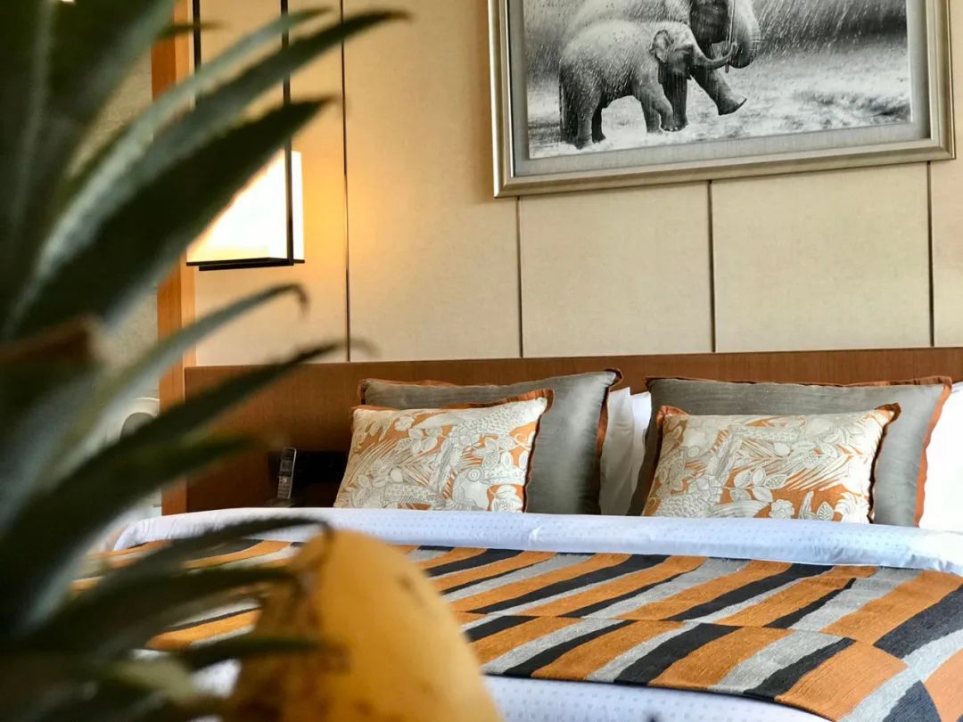 普吉岛100万房子,普吉岛laya拉亚度假酒店